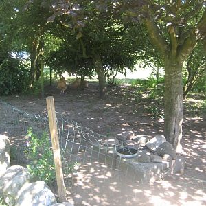 Enghave Dyre- og Naturpark - Chicken exhibit