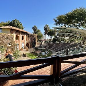 Bird Show Stage - May 2021