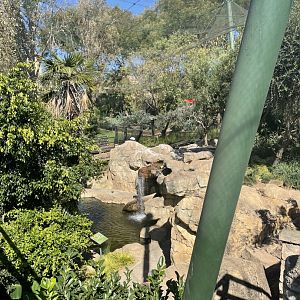 Main Aviary Pond - May 2021