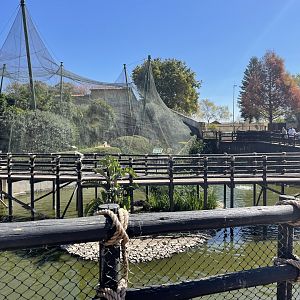View of Main Aviary - May 2021