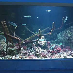 First North sea shipwreck tank, 2021-06-12