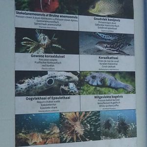 Example of tank signage in the aquarium, 2021-06-12