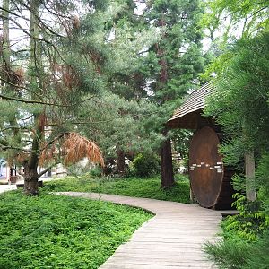 Giant sequoia slice display in a grove of small sequoias, 2021-06-12