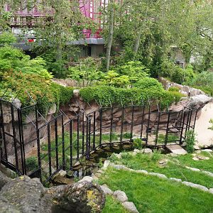 African lion exhibit - New outdoor separation cage, 2021-06-12