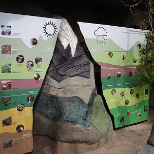 Elevation and habitat zones in the Himalayas educational display, 2021-06-12