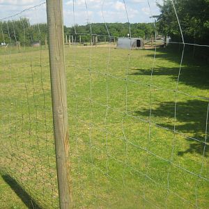 Enghave Dyre- og Naturpark - Ouessant sheep exhibit