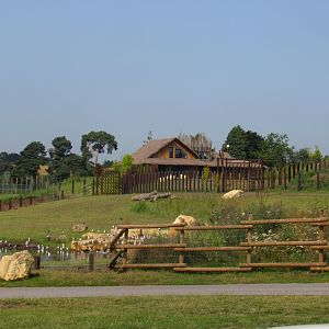 New Elephant Exhibit
