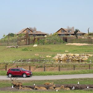 New Elephant Exhibit