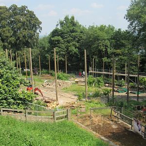 [Under Development] New Orangutan Exhibit