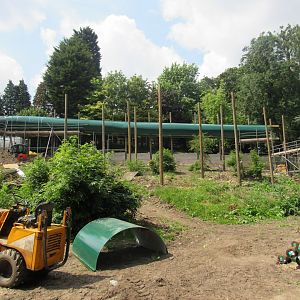 [Under Development] New Orangutan Exhibit