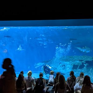 Graveyard of the Atlantic