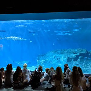 Graveyard of the Atlantic