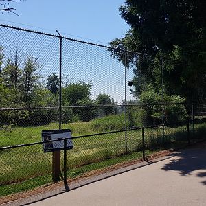 African Lion Exhibit