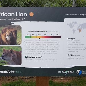 African Lion Sign