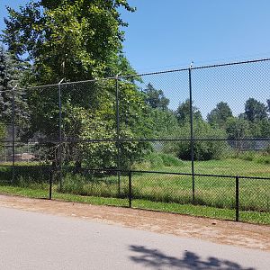 African Lion Exhibit