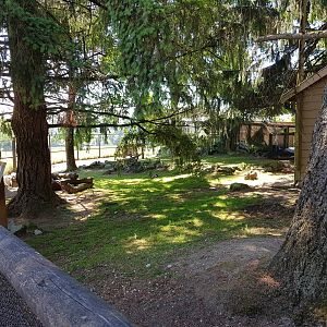Patagonian Mara & African Spurred Tortoise Exhibit