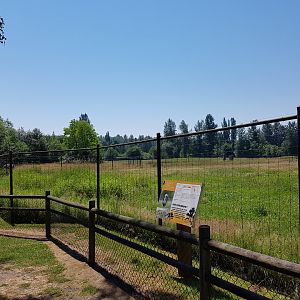 Rothschild's Giraffe & Marabou Stork Exhibit