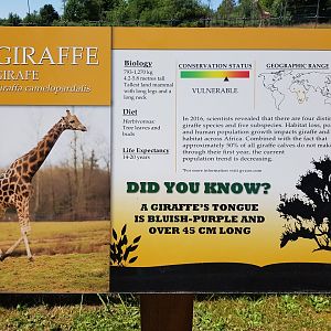 Rothschild's Giraffe Sign