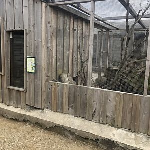 Wild encounters mini zoo - Striped skunk exhibit