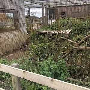 Wild encounters mini zoo - Raccoon enclosure