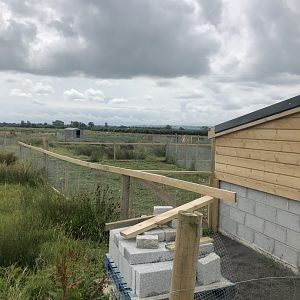 Wild encounters mini zoo - View across capybara enclosure