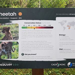 Cheetah Sign