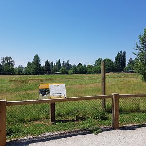 Eland & Ostrich Exhibit