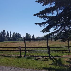 Eland & Ostrich Exhibit