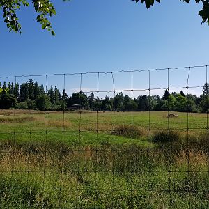 Eland & Ostrich Exhibit