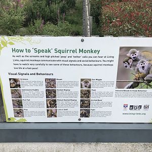 Squirrel monkey signage