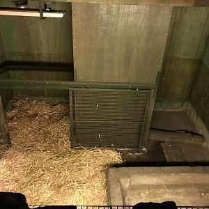 Second giant anteater indoor enclosure