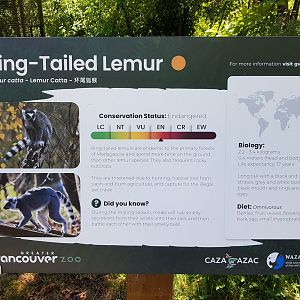 Ring-Tailed Lemur Sign