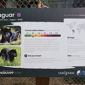 Jaguar Sign