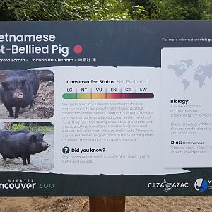 Vietnamese Pot-Bellied Pig Sign
