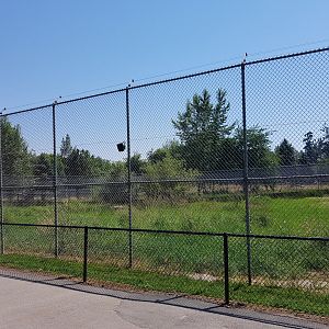 Siberian Tiger Exhibit