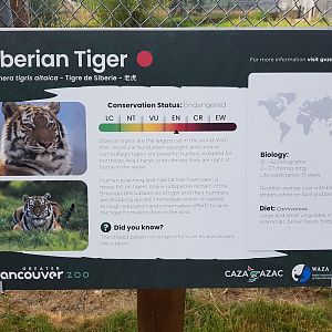 Siberian Tiger Sign