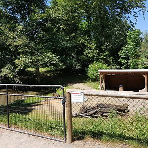 Capybara, Patagonian Mara, & Muscovy Duck Exhibit