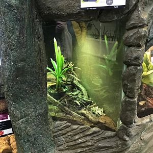 Land hermit crab tank