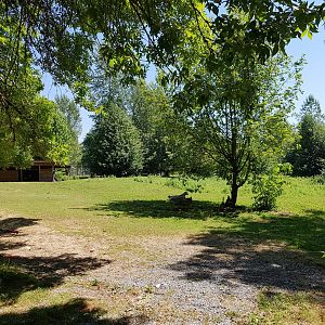 Domestic Donkey & American Miniature Horse Exhibit