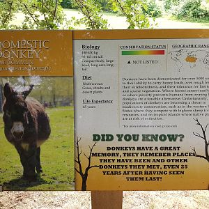 Domestic Donkey Sign