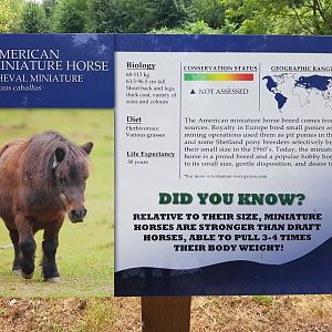 American Miniature Horse Sign