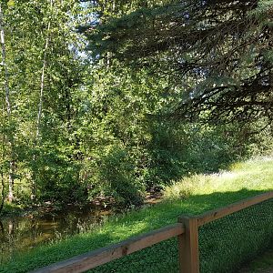 American Flamingo Exhibit