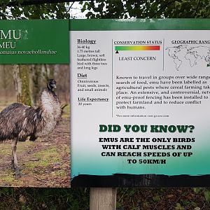 Emu Sign