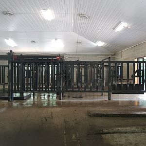 Common Hippopotamus Barn