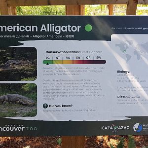 American Alligator Sign