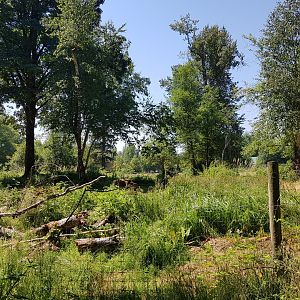 Reindeer & Snow Goose Exhibit