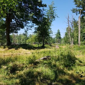 Reindeer & Snow Goose Exhibit