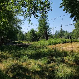 Reindeer & Snow Goose Exhibit