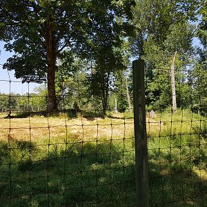 Reindeer & Snow Goose Exhibit