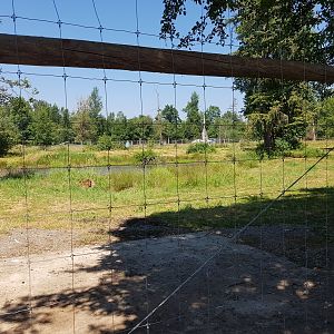 Reindeer & Snow Goose Exhibit